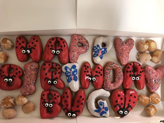 Ladybug themed