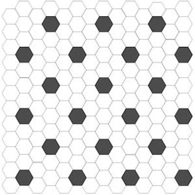 1" Hexagon tile for 9.95 a sq ft.