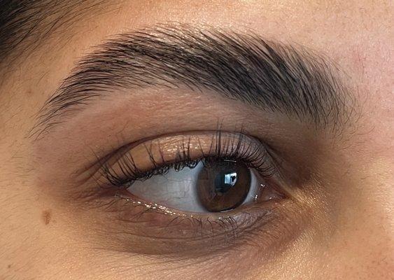 Brow lamination (no tint) and lash lift with tint