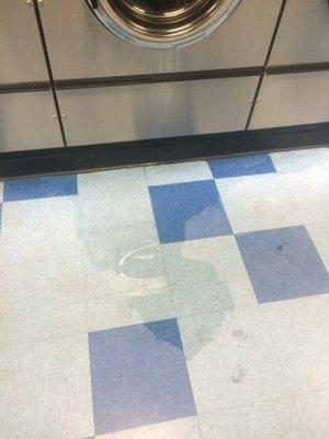 Broken wet washer that is an obvious slipping liability.