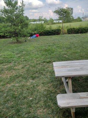 kitchen staff laying on the ground while on the clock enjoying a cigarette in the bushes ( we hope it was a cigarette).