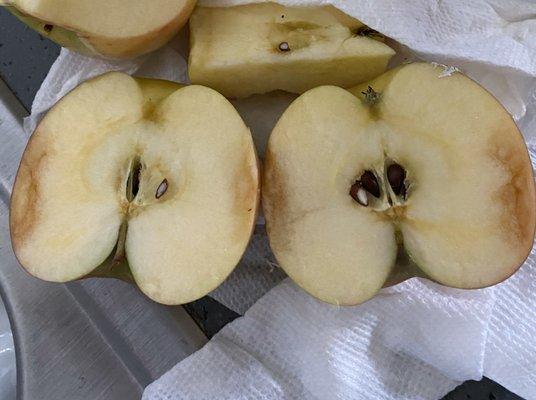 Honey Crisp apples