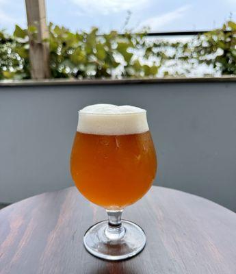 IPA on the rooftop bar