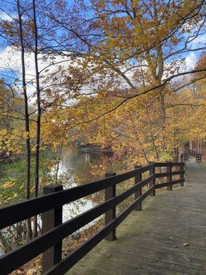 Boardwalk on river trail