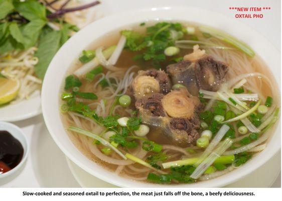 Pho Oxtail