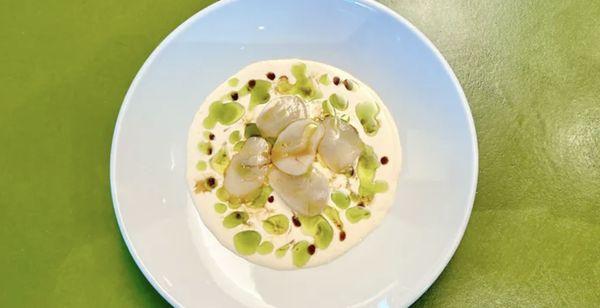 Scallop Crudo: raw scallops, buttermilk, housemade lemon-lemongrass kosho, marrow bean shoyu, chive oil.