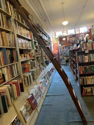 Inside the bookstore! (I thought the ladder was so cool!)