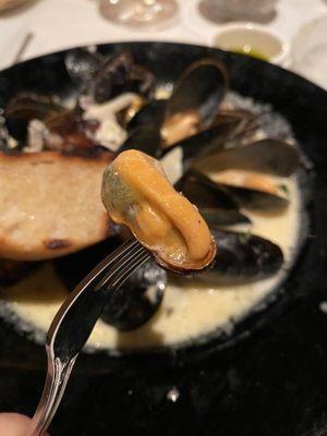 Juicy Mussels