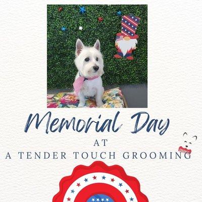 A Tender Touch Dog Grooming