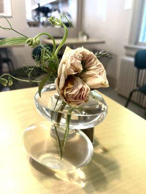 It's Alive: (& Wilted. But I Like The Blush Color)