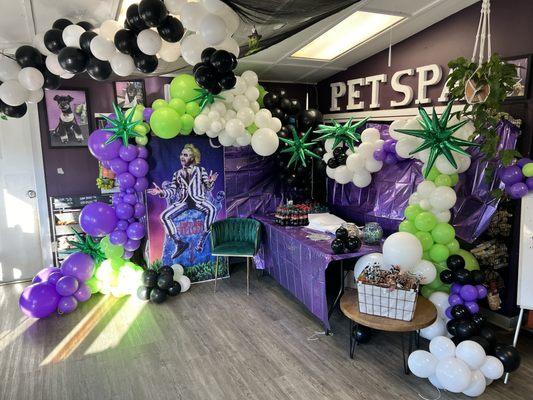 Halloween party for pets