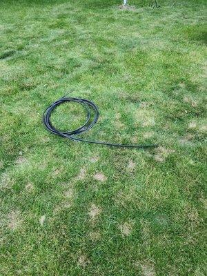 Scrap cable left in my yard