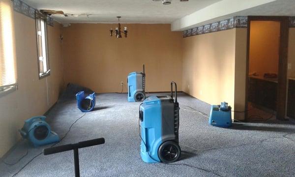 Christenson Carpet Cleaning is certified in water extraction. We have the best equipment and knowledge to get the water out a...