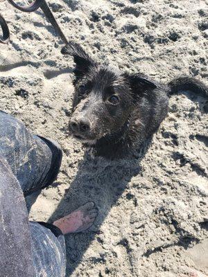 She LOVES  the beach