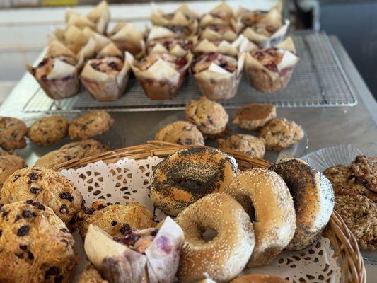 Bagels, muffins, scones - fresh