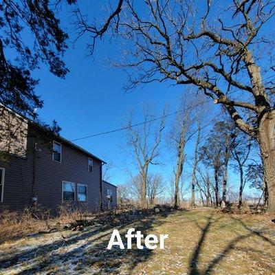 Customer requested that two trees be taken down to prevent damage if there was a bad storm.