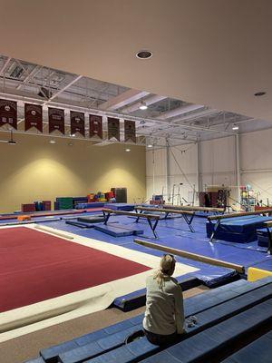 University of Denver Gymnastics