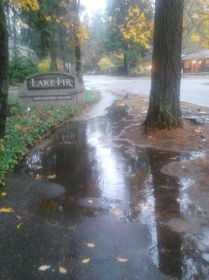 Sidewalk is "maintained" by the property, and is often flooded with rain water in the winter.