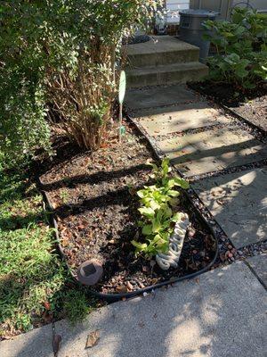 Out of control crab apple tree shedding bulbs