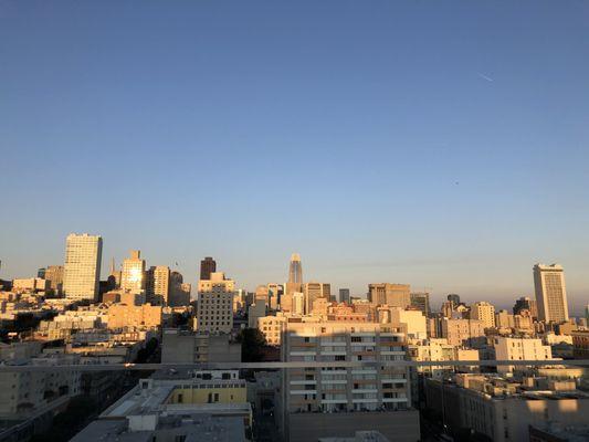 The City View from the Rooftop