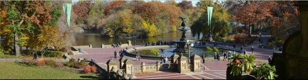 Central Park Bike Tours - New York