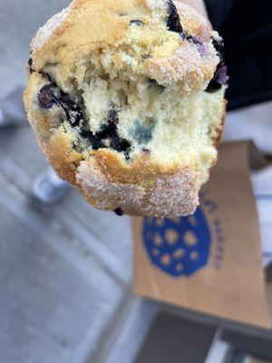 Fluffy blueberry muffin. Delicious!