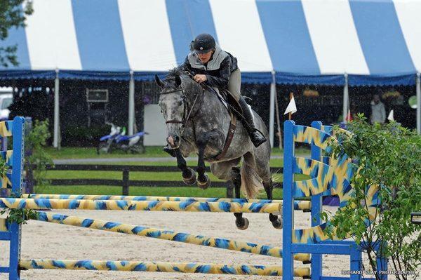 PRP Amergin at the Upperville horse show doing his 1st Jumper class. Hunters or Jumpers we can take you to the show ring.