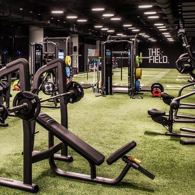 The Field group fitness studio / Weight floor