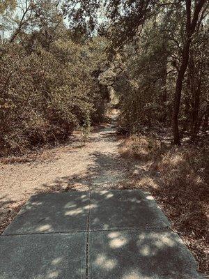 Primitive bike trail