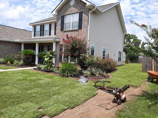 Sod Installation