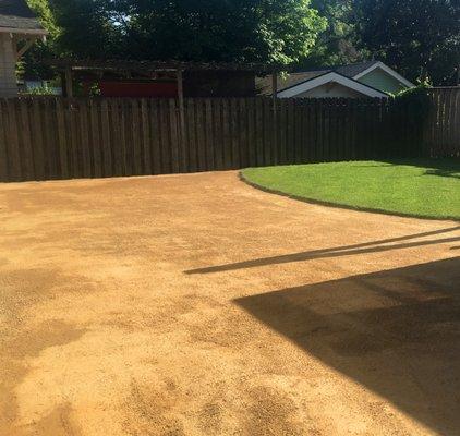 Decomposed granite hardscaping and turf install in a NE Portland backyard.