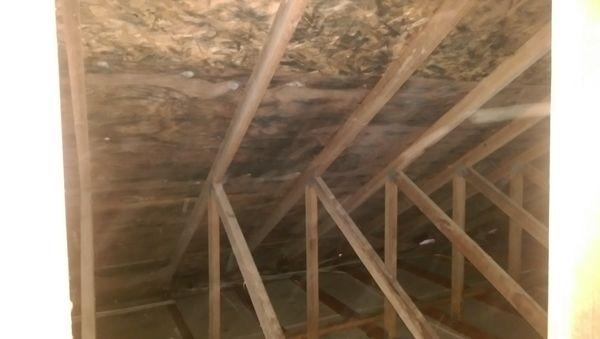 Attic mold is extremely common in the Pacific NW, proper ventilation and annual inspections are critical to maintaining a healthy attic