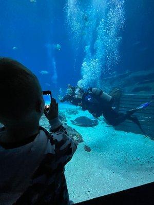 A little guy snaps a couple pictures of his family diving in the GA Aquarium