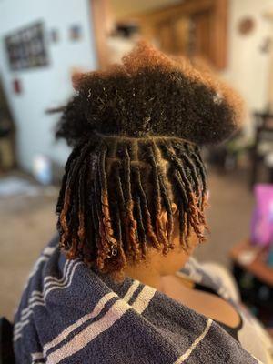 Starter Locs "coils"