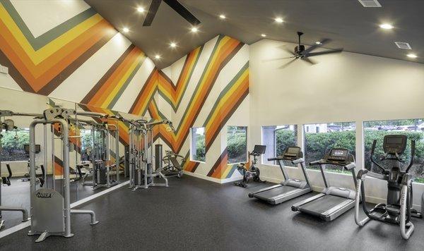 Fitness Center Machines and Treadmills