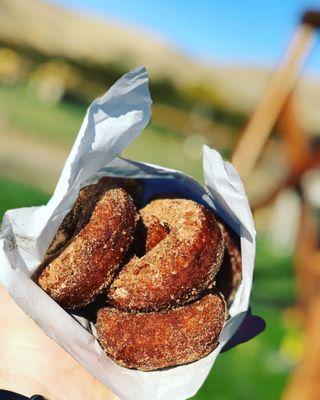 Pumpkin donuts!