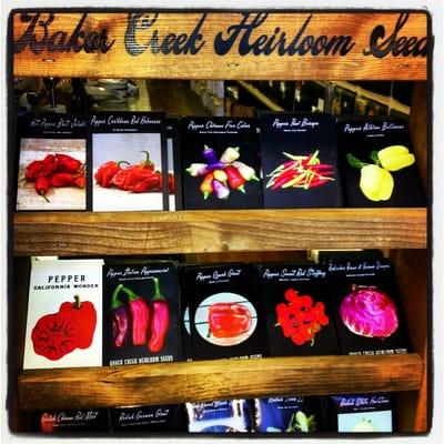 Great selection of these premium seeds.