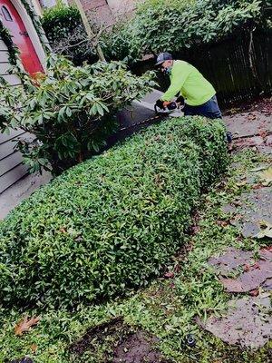 Montiel Landscaping Service