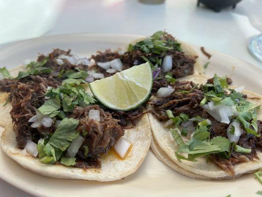 Barbacoa / Shredded Beef Tacos