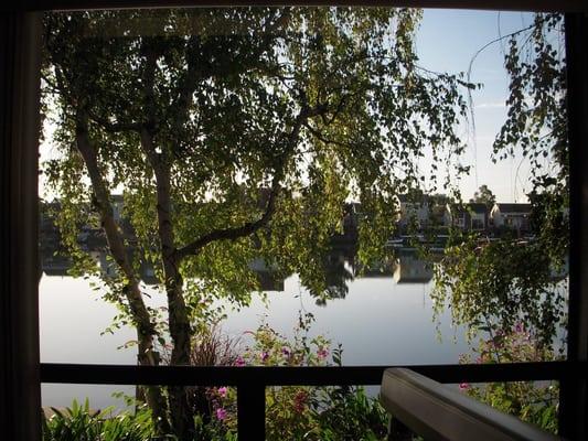 Treatment Room View.  Enjoy the wonderful view of the Redwood Shores area right from your treatment chair.