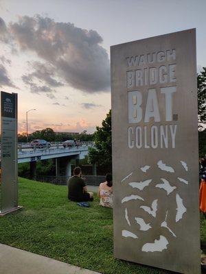 See the bridge where the bats live???