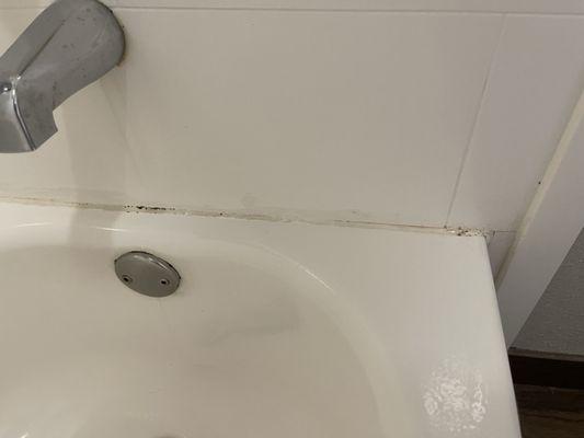 Black mold in shower