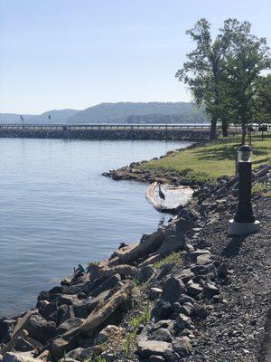 Electric Board of Guntersville