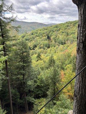 Freaking awesome!! Did the timberline zip lining tour for $120 per person. 1.5 hours 5 zip lines. Highly recommend it!!