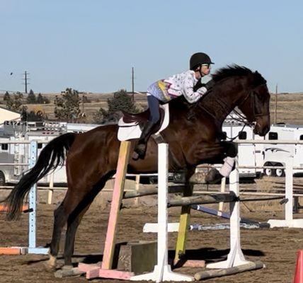 If you love jumping you'll love our main jumping ring with a full course that changes every few weeks