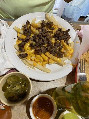 Cheese fries with added carne asada