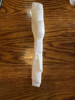 Paper Napkin & Flatware