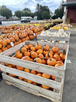 Covered Wagon Farm Market