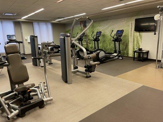 Interior of the fitness center at The Westin Book Cadillac Detroit.