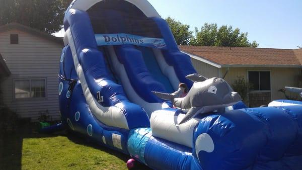 Rent the Dolphin Slide for fun luau themed party, or just water slide bounce house fun for hot summer days!